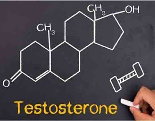 Testosteron Hormonu Artrma
